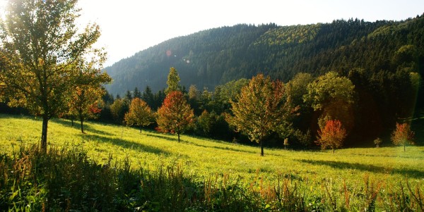 Auch der Herbst hat viele Reize