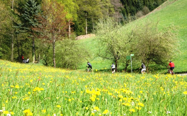 Rad-Wanderstrecken gehen direkt an unserem Haus vorbei Rad-Wanderstrecken gehen direkt an unserem Haus vorbei